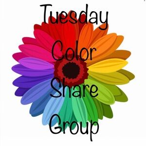 OPEN! 🌈 TUESDAY Color Share Group 🌈